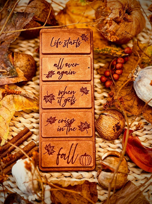 Life Starts All Over Again When It Gets Crisp in the Fall snap bar - Shelfaware