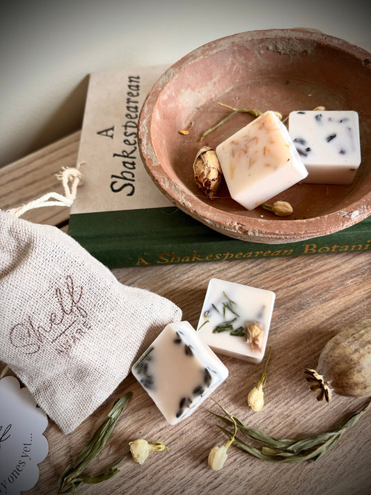 Botanical Wax Melt Gift Set - Shelfaware