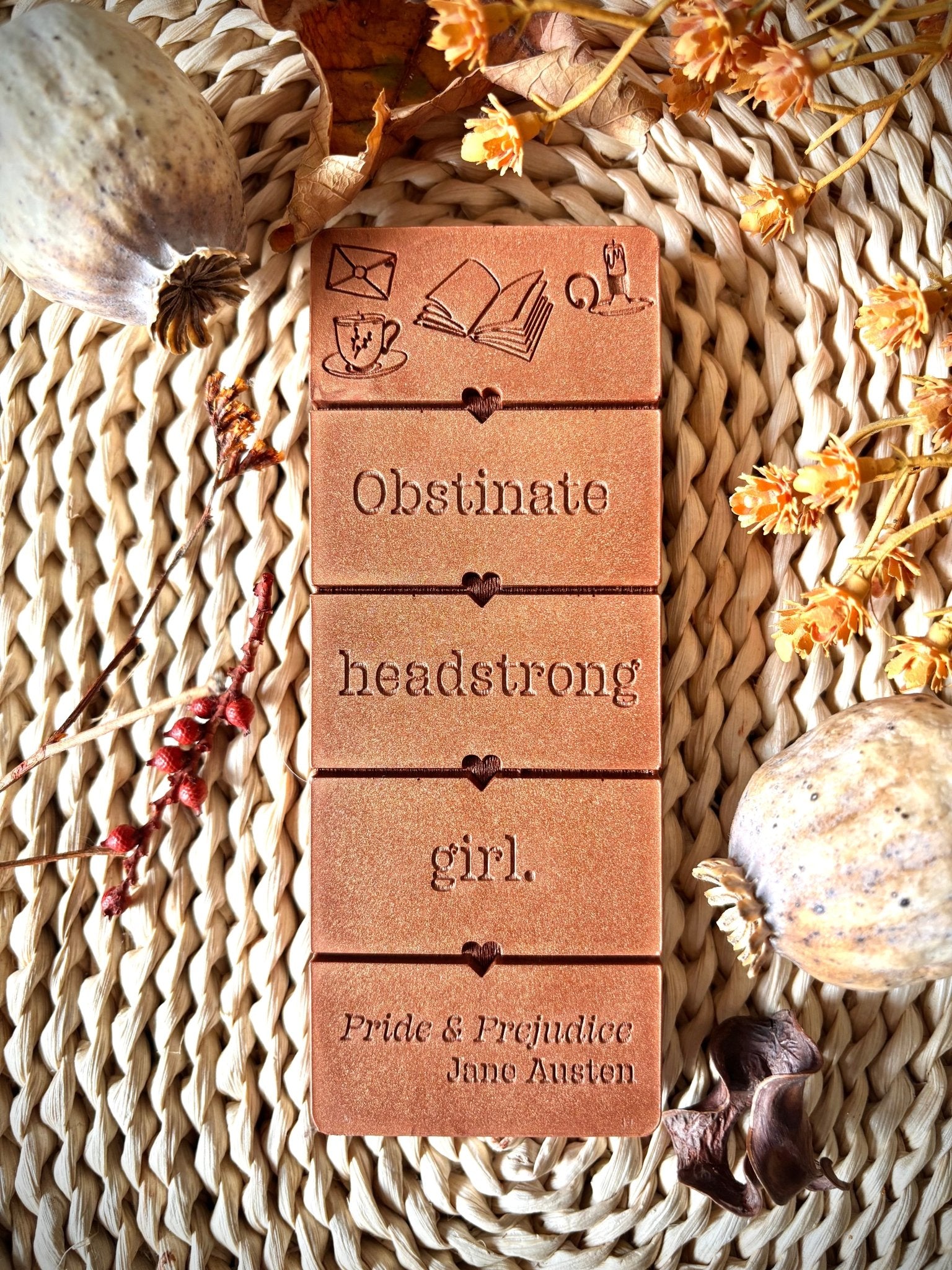 Obstinate Headstrong Girl pride and prejudice quote book gift