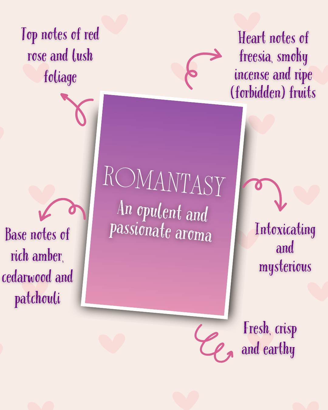 Plain Wax Melts - Romantasy - Shelfaware